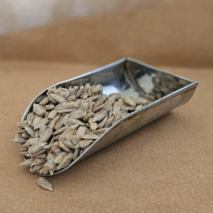 Sunflower Seeds