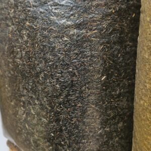 Shahi Zeera (Pulao Zeera)