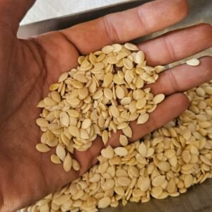 Melon Seeds (missing)