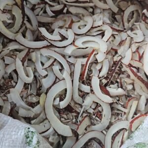 Khopra Cutting (missing)