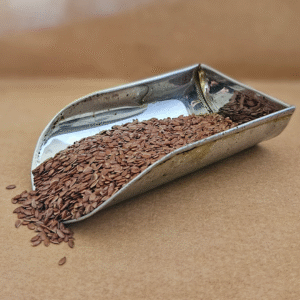 Flax Seeds