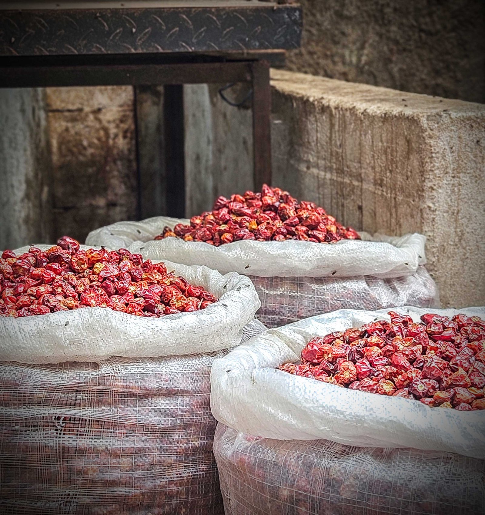 Image gallery marquee